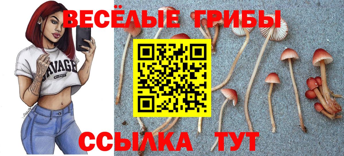 Ялуторовск  Псилоцибиновые грибы GOLDEN TEACHER  Вход с VPN  Галлюциногенные грибы MAGIC MUSHROOMS 