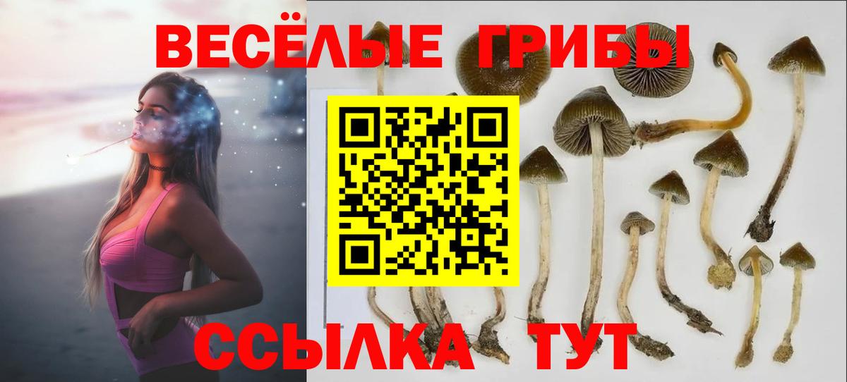 Галлюциногенные грибы Psilocybine cubensis Ялуторовск